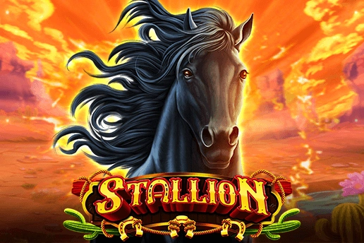 09027 stallion