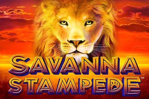 13898 savanna stampede