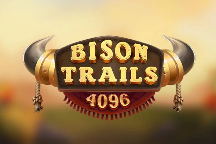 16782 bison trails