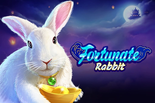 20475 fortunate rabbit